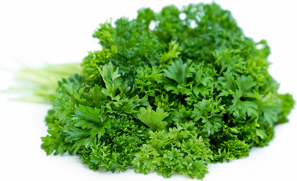 Parsley