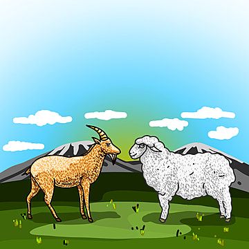 Lamb/Goat Overseas Sadaqa