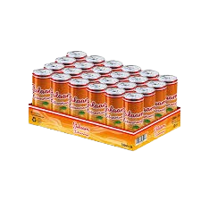 Salaam Lemon Orange (24 cans x 330 ml)