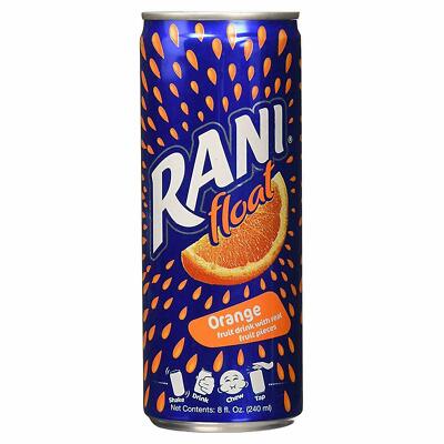 Rani Orange Float (240 ml)